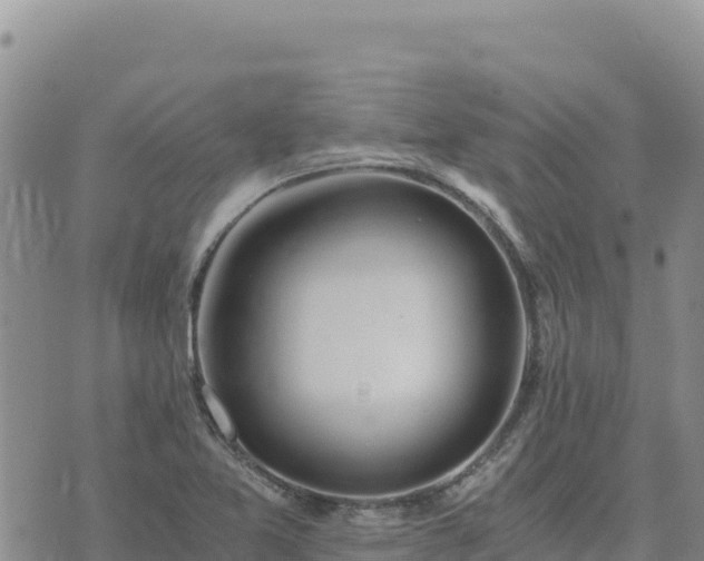 X0000073701365200608101803