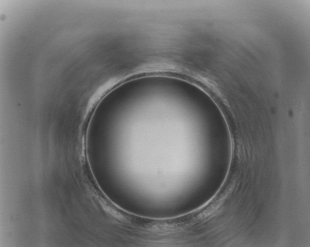 X0000073701366200608101803