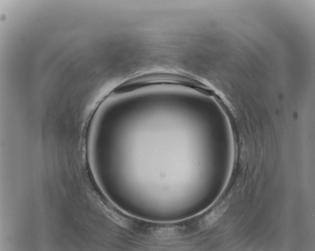 X0000073701367200608101803