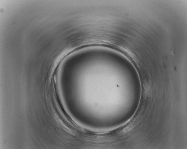 X0000073701371200608101803