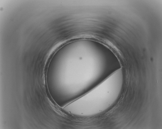 X0000073701372200608101803