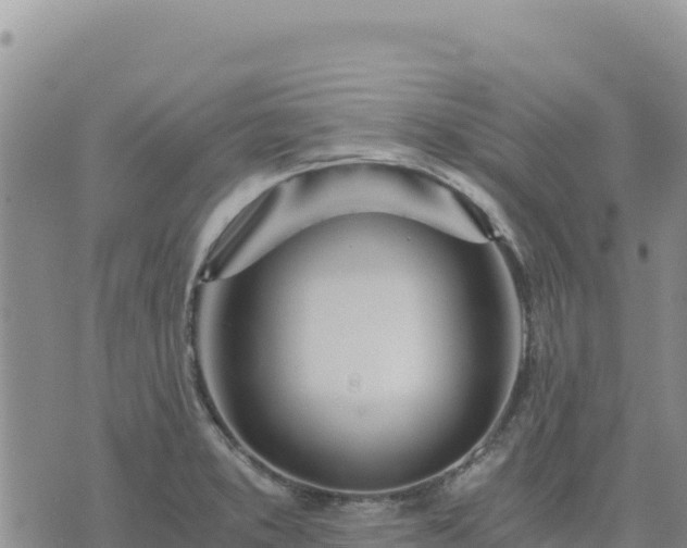 X0000073701373200608101803