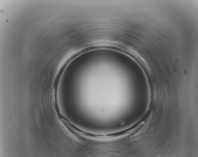 X0000073701376200608101803