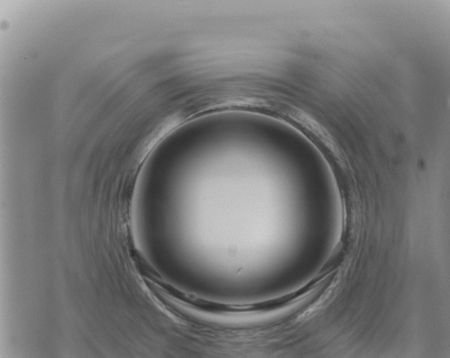 X0000073701377200608101802