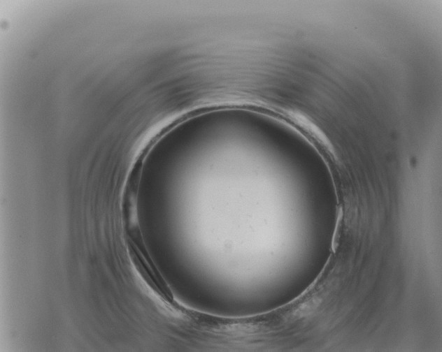 X0000073701380200608101802