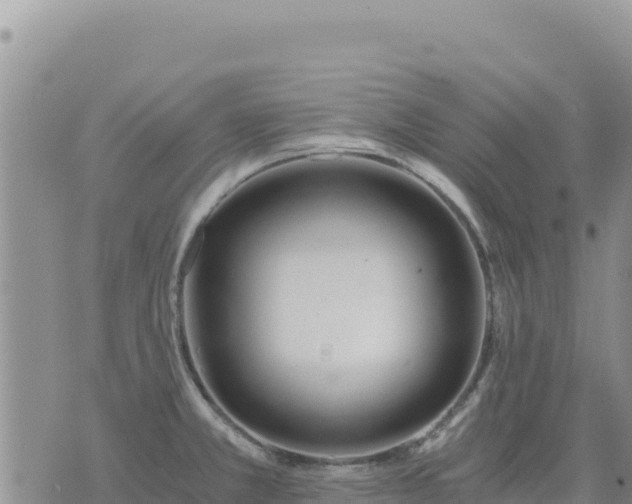 X0000073701381200608101802