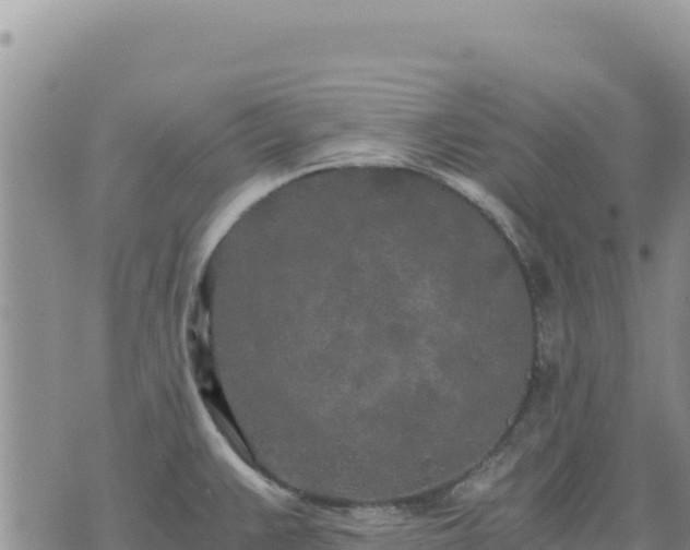 X0000073701383200608101802