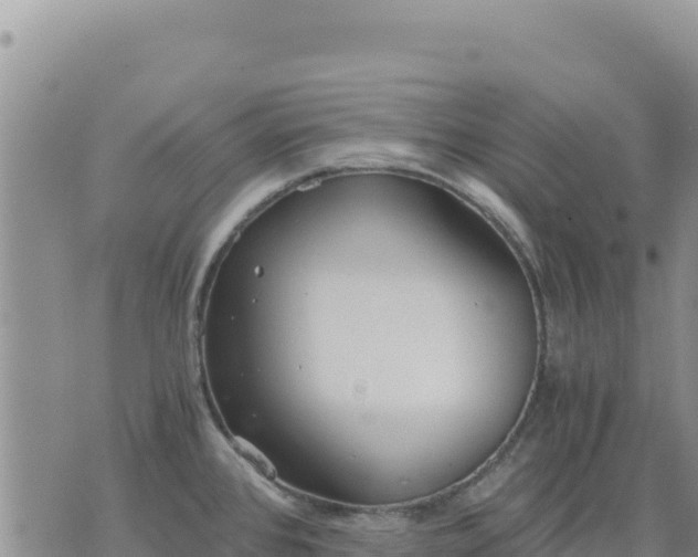 X0000073701384200608101802