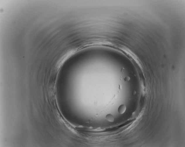 X0000073701385200608101802