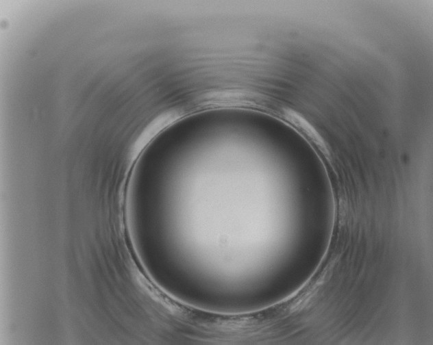 X0000073701386200608101802