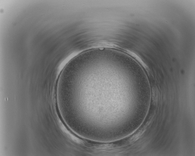 X0000073701387200608101802