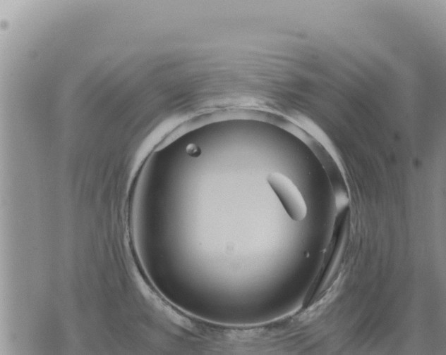 X0000073701389200608101802