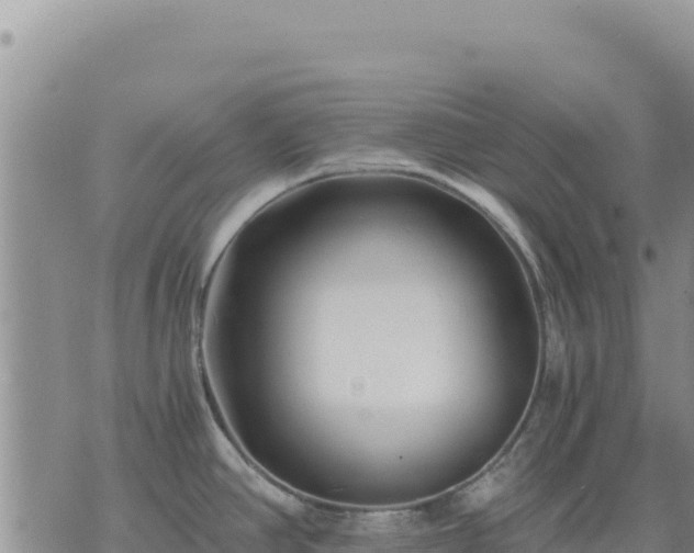 X0000073701390200608101802