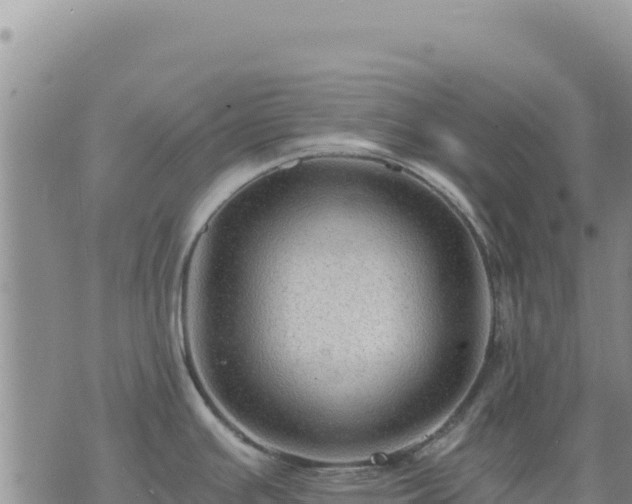 X0000073701391200608101802