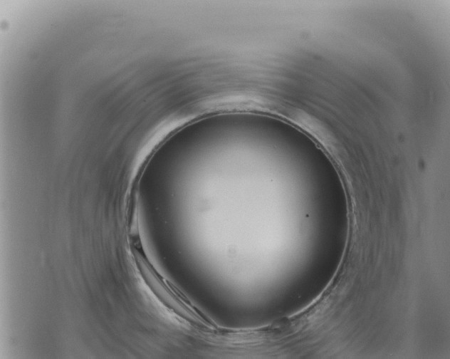 X0000073701392200608101802