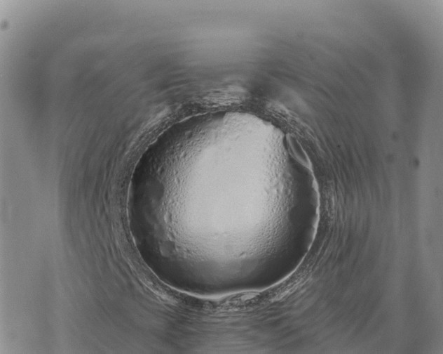 X0000073701393200608101801