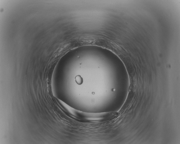 X0000073701394200608101801