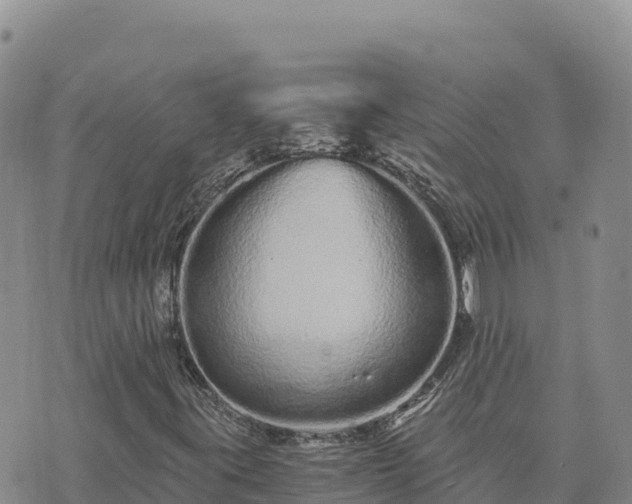 X0000073701395200608101801