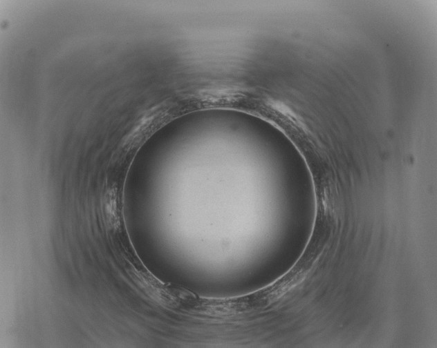 X0000073701396200608101802