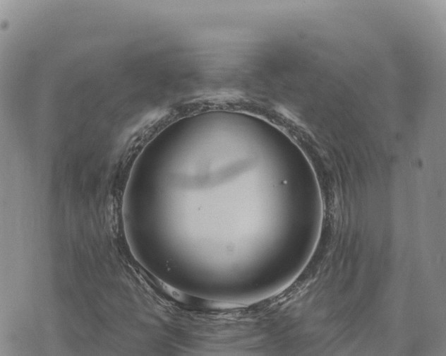 X0000073701398200608101802