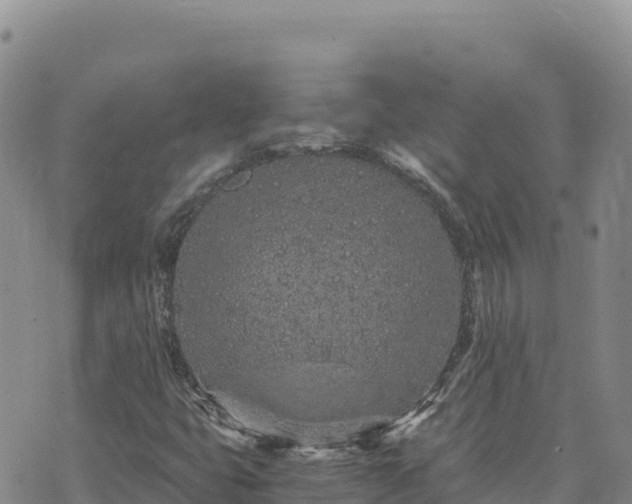 X0000073701399200608101802