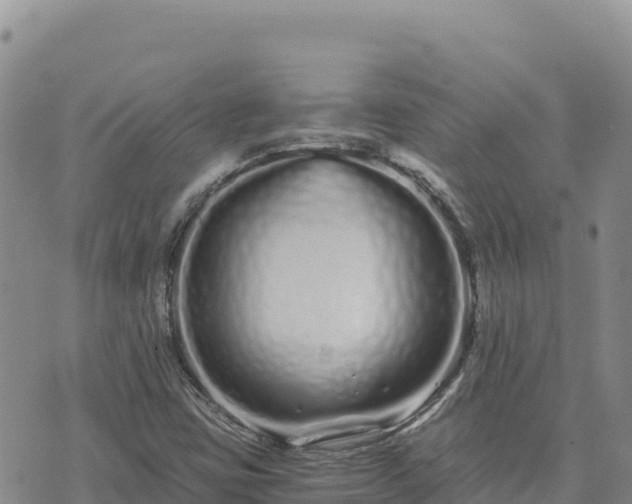 X0000073701403200608101802