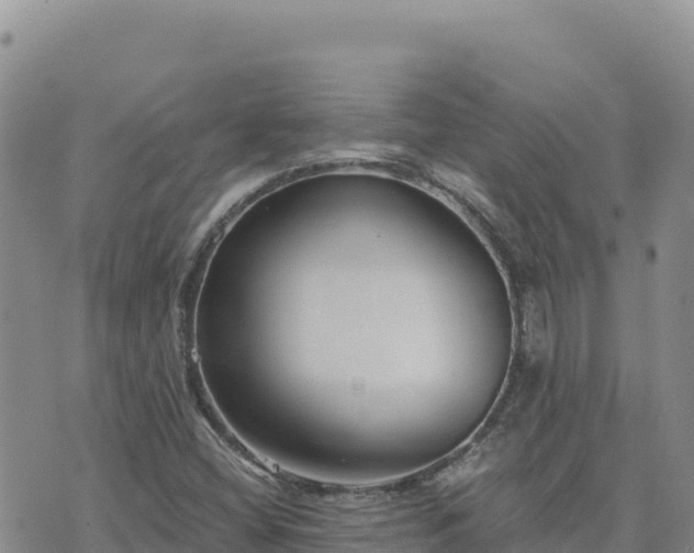 X0000073701404200608101802