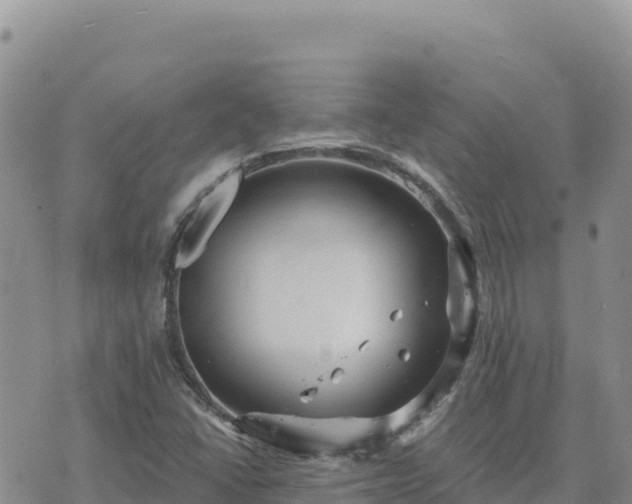 X0000073701406200608101802