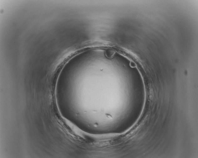 X0000073701407200608101802