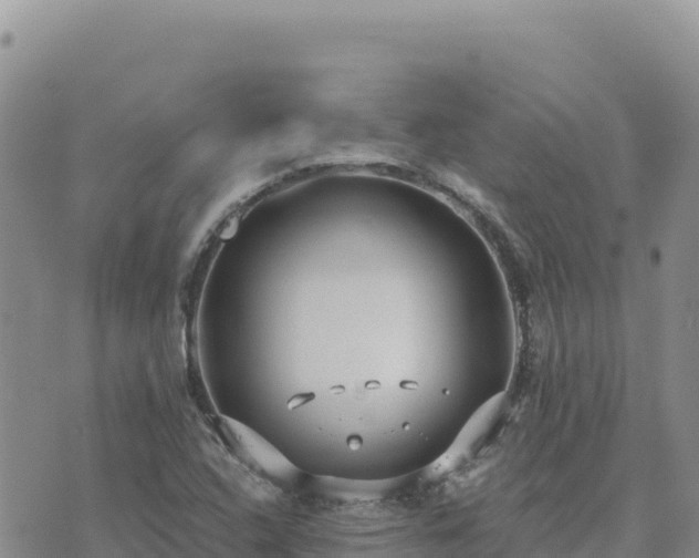 X0000073701408200608101802