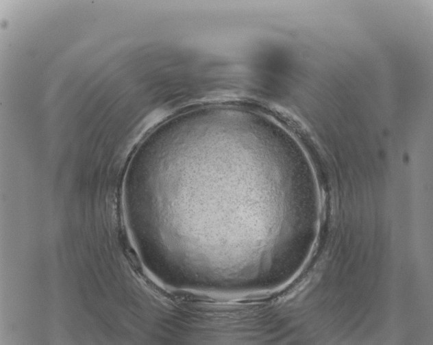 X0000073701409200608101802