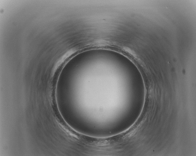 X0000073701410200608101802