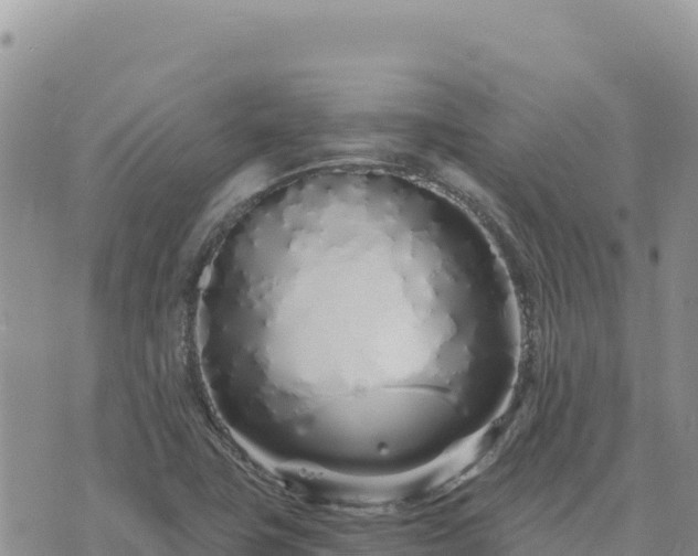 X0000073701411200608101802