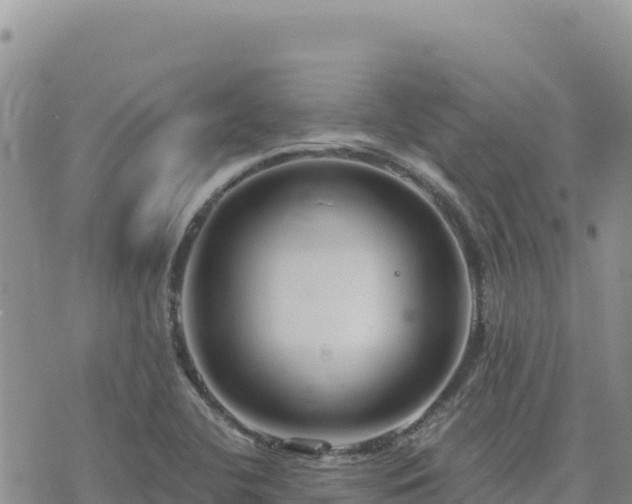 X0000073701412200608101802