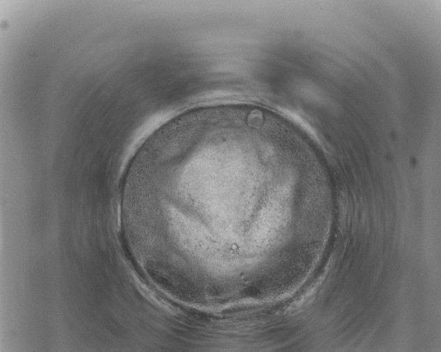 X0000073701413200608101802