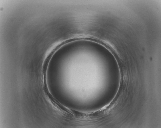 X0000073701414200608101802