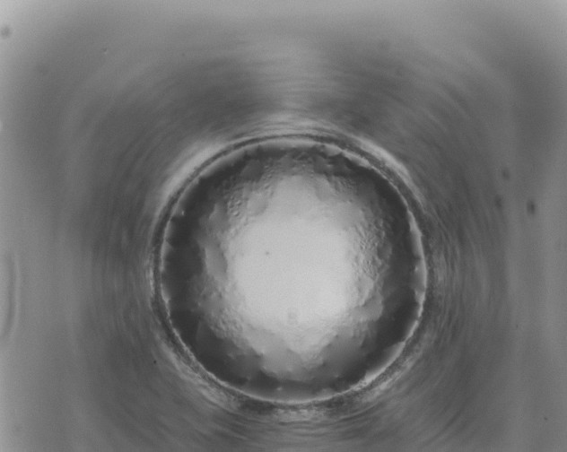 X0000073701415200608101802