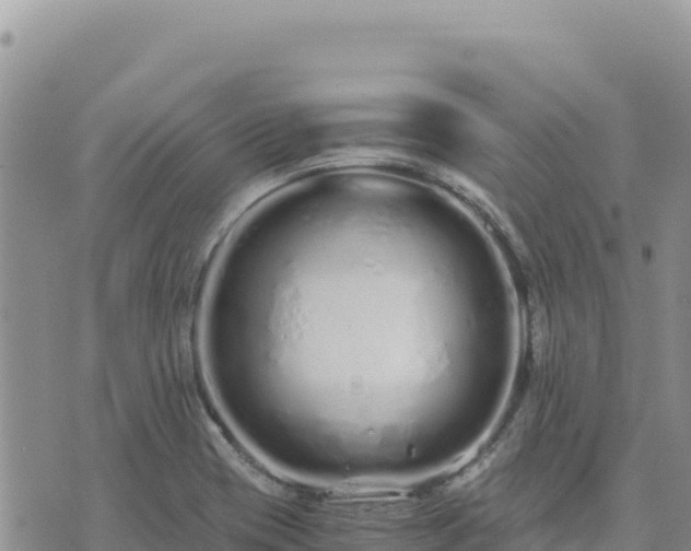 X0000073701417200608101802