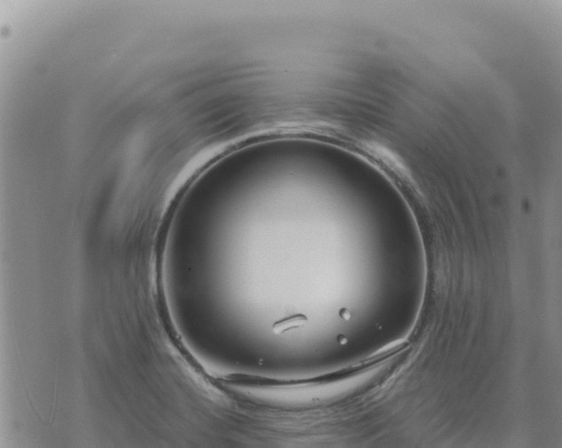 X0000073701420200608101802