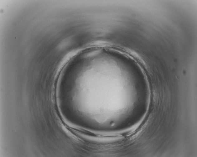 X0000073701421200608101802