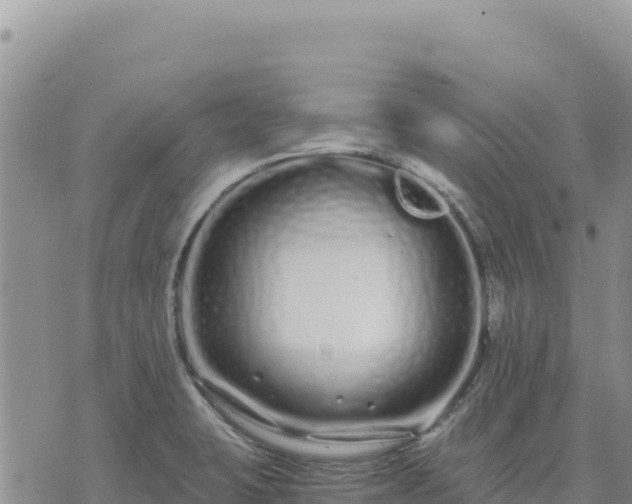 X0000073701423200608101802