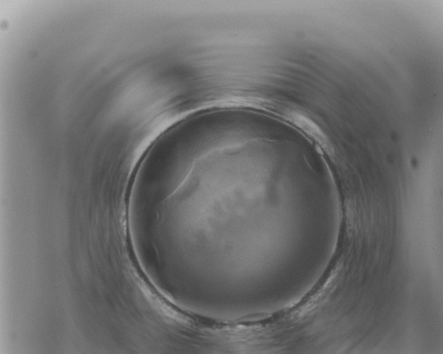 X0000073701428200608101802