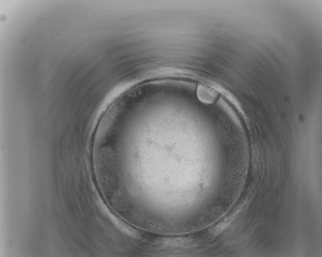 X0000073701429200608101802