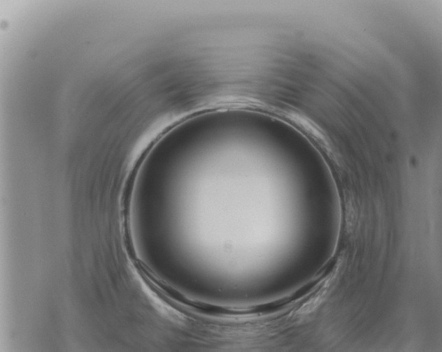 X0000073701430200608101802