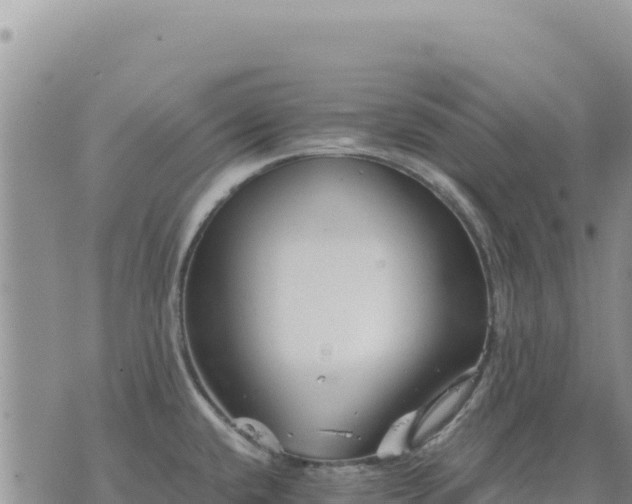 X0000073701432200608101802