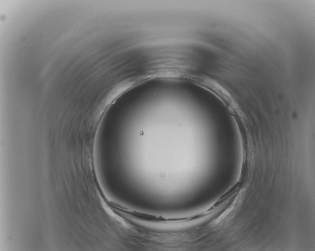 X0000073701433200608101802