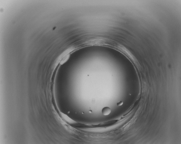 X0000073701434200608101802