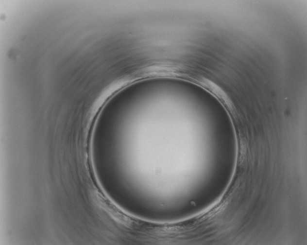 X0000073701435200608101802