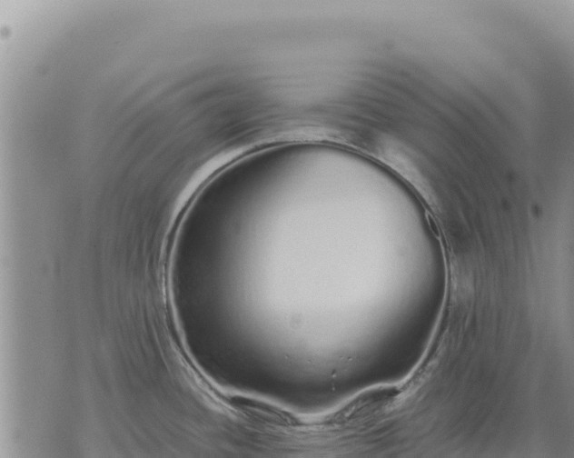 X0000073701436200608101802