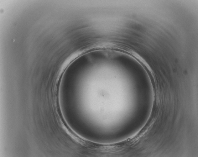 X0000073701437200608101802